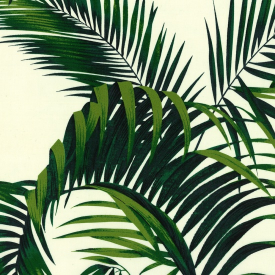 Palm Leaves