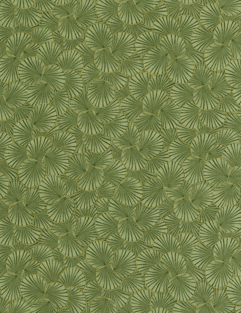 Feuilles japonais vert
