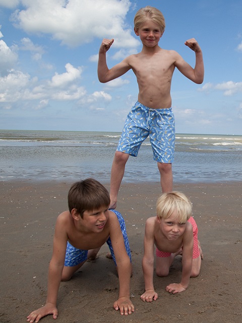 Strandshortje